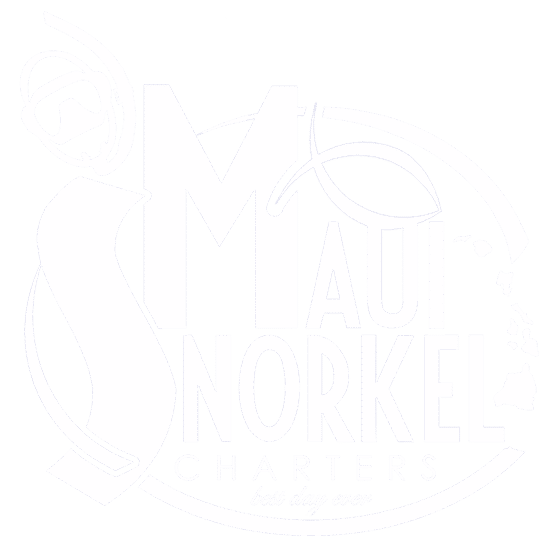 Maui Snorkel Charters